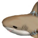 cardboard-haj avatar