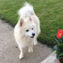 cardgames811-2 avatar