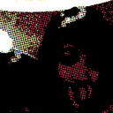 cardiacparade avatar