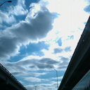 cardinal-directions avatar