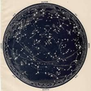 cardinally-fixed avatar