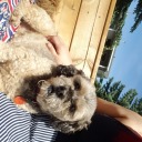 carebearsposts avatar