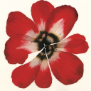 careformeplease avatar