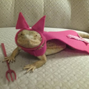 careless-crow avatar