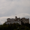 carelesscitizen avatar