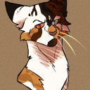 carelesscuriosity avatar