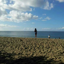 caribbeanatural avatar