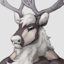 cariboucobalt avatar