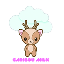 cariboumilkworld avatar