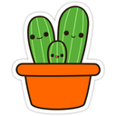 caringcactus22 avatar