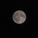 carla1311-blog2 avatar