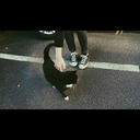 carlakakakaka-blog avatar