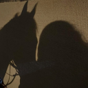 carlatoscanooh avatar