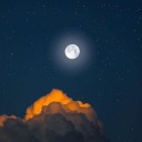 carlos47hitman avatar