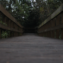 carlosarperera avatar