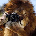 carlosluceroca avatar