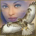 carlosrogerkiss avatar