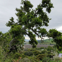 carlosss0728-blog avatar