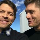 carlottanotcool avatar