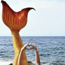 carlymcdonough avatar