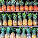 carlyyrobinson avatar