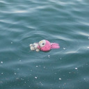 carmelsucksatlife avatar