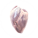 carnage-cathedral avatar