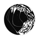 carnassialisms avatar