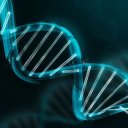 carnation-tarnation avatar