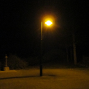 carnationcomplex avatar