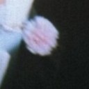 carnationshadows avatar