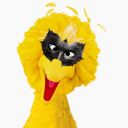 carni-val-the-bird avatar