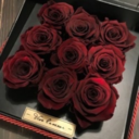 carnival-of-sins avatar