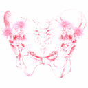 carnivalcandies avatar