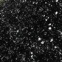 carnivastrology avatar