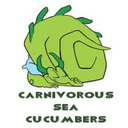 carnivorous-sea-cucumbers avatar