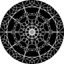 carnivorousfeminist avatar