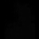 carolina-brizida avatar