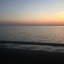 carolina6647-blog avatar