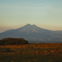 carolinarivera31 avatar