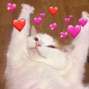 carolinasmashmyass avatar