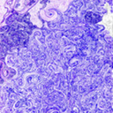 carolincacao-leo-lao avatar