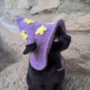 carolineisabel avatar