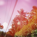 carolinemackintosh avatar