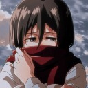 carollalbuquerque avatar