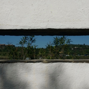 carottes-sometimes avatar