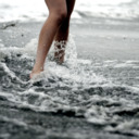 carousel-lights avatar