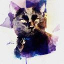 carpe--librum avatar