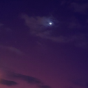 carpenoctemvgl avatar