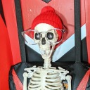 carpenterenbee avatar